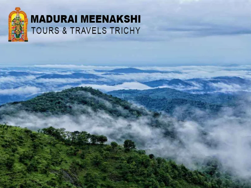 Kochi Tour Packages from Trichy