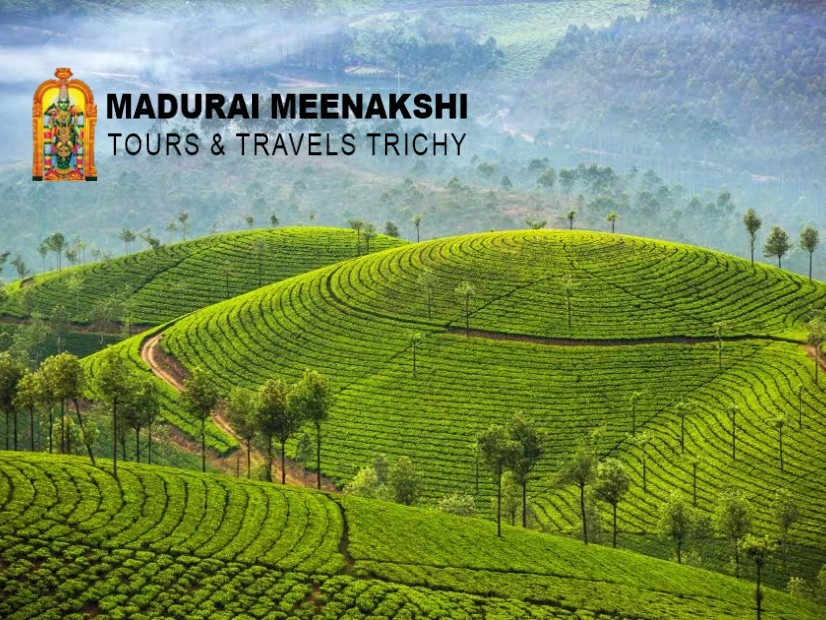 Munnar Tour Packages from Trichy - Madurai Meenakshi Tours and Travels