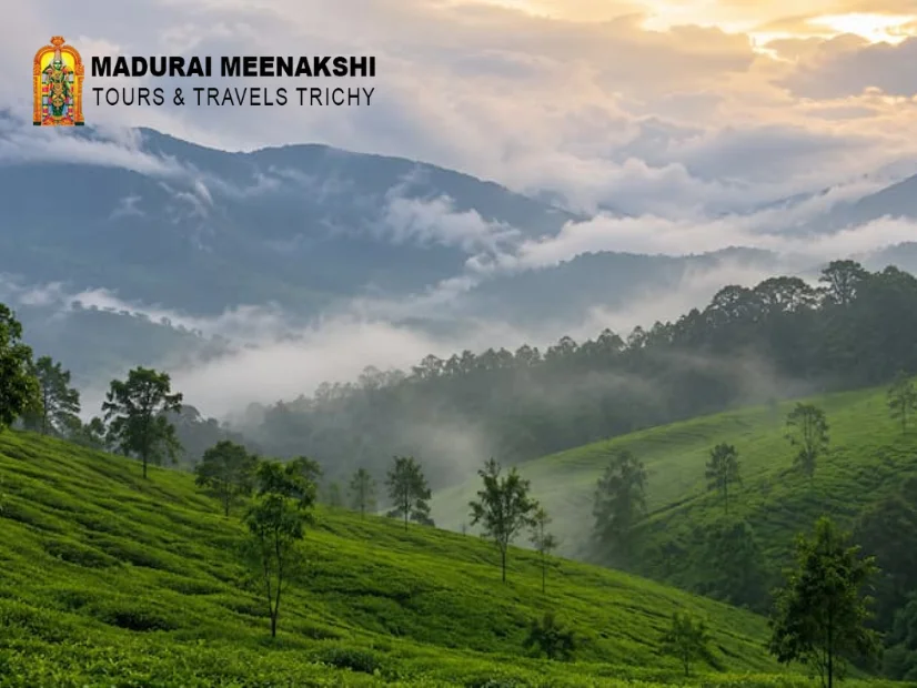 Wayanad Tour Package from Trichy - Madurai Meenakshi Tours and Travels